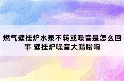 燃气壁挂炉水泵不转或噪音是怎么回事 壁挂炉噪音大嗡嗡响